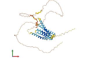 AlphaFold protein structure predicition of Mouse Recombinant Tmem79 Protein, UniprotID Q9D709