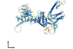 Protein Structure (PS) image for Transient Receptor Potential Cation Channel, Subfamily M, Member 5 (TRPM5) (AA 1-1158) protein (His tag) (ABIN7565101)