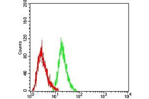 Flow Cytometry (FACS) image for anti-Caudal Type Homeobox 2 (CDX2) (AA 1-180) antibody (ABIN7193689)