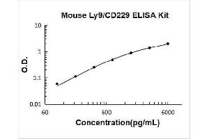 Lymphocyte Antigen 9 (CD229) ELISA Kit