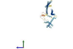 AlphaFold protein structure predicition of Mouse Recombinant Ccdc112 Protein, UniprotID A0AUP1 (CCDC112 Protein (AA 1-442) (His tag))