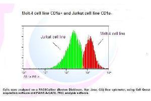 Image no. 1 for anti-CD1a (CD1a) antibody (PE) (ABIN1112082) (CD1a 抗体  (PE))