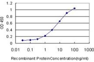 Detection limit for recombinant GST tagged ERH is approximately 0. (ERH 抗体  (AA 1-104))
