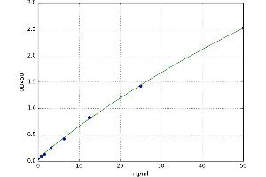 Melanocortin 5 Receptor (MC5R) ELISA Kit
