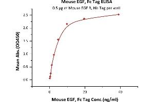 Immobilized Mouse EGF R, His Tag (ABIN2181005,ABIN2181004) at 5 μg/mL (100 μL/well) can bind Mouse EGF, Fc Tag (ABIN6731280,ABIN6809909) with a linear range of 0. (EGF Protein (AA 977-1029) (Fc Tag))