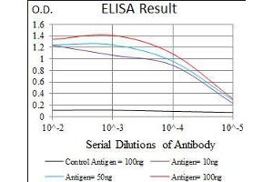 Black line: Control Antigen (100 ng), Purple line: Antigen(10 ng), Blue line: Antigen (50 ng), Red line: Antigen (100 ng), (RPL18A 抗体  (AA 50-176))