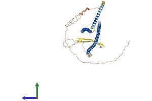 Protein Structure (PS) image for Keratin 24 (KRT24) (AA 1-525) protein (His tag) (ABIN7548616)