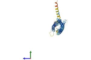 Protein Structure (PS) image for Glycoprotein M6A (GPM6A) (AA 1-278) protein (His tag) (ABIN7548057)
