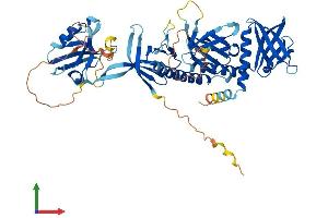 Protein Structure (PS) image for Syntrophin, gamma 2 (SNTG2) (AA 1-539) protein (His tag) (ABIN7546109)