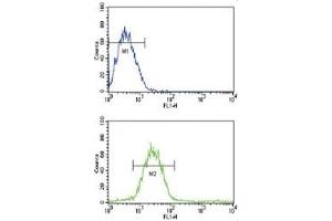 Flow Cytometry (FACS) image for anti-CD19 Molecule (CD19) (AA 143-172) antibody (ABIN3030362)