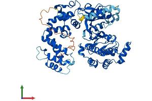 AlphaFold protein structure predicition of Mouse Recombinant Grk4 Protein, UniprotID O70291