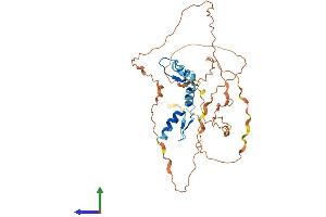 Protein Structure (PS) image for Kruppel-Like Factor 3 (Basic) (KLF3) (AA 1-344) protein (His tag) (ABIN7557642)