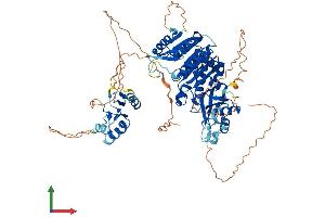 Protein Structure (PS) image for TRM1 tRNA Methyltransferase 1-Like (TRMT1L) (AA 1-728) protein (His tag) (ABIN7561979)