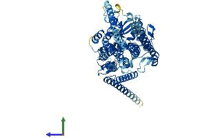 Protein Structure (PS) image for Anoctamin 10 (ANO10) (AA 1-659) protein (His tag) (ABIN7558616)