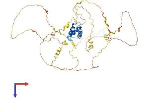 IRX1 Protein (AA 1-480) (His tag)
