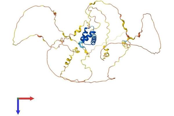 IRX1 Protein (AA 1-480) (His tag)
