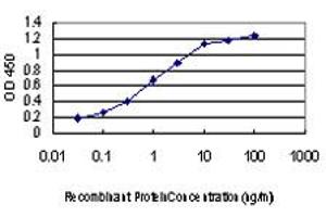 Detection limit for recombinant GST tagged LIMK1 is approximately 0. (LIM Domain Kinase 1 抗体  (AA 548-647))