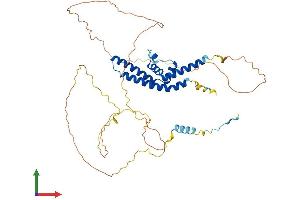 Protein Structure (PS) image for serum Response Factor Binding Protein 1 (SRFBP1) (AA 1-441) protein (His tag) (ABIN7560776)