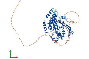 Protein Structure (PS) image for Protein Tyrosine Phosphatase, Non-Receptor Type 20B (PTPN20B) (AA 1-426) protein (His tag) (ABIN7562475)
