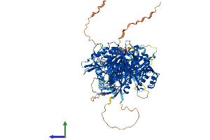 AlphaFold protein structure predicition of Mouse Recombinant Dgkq Protein, UniprotID Q6P5E8