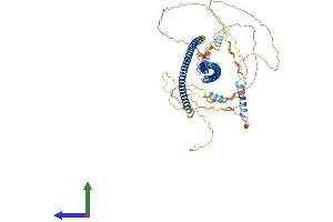 Protein Structure (PS) image for Beaded Filament Structural Protein 1, Filensin (BFSP1) (AA 1-669) protein (His tag) (ABIN7561938)