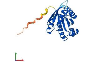 Protein Structure (PS) image for ADP-Ribosylation Factor-Like 9 (ARL9) (AA 1-187) protein (His tag) (ABIN7552323)