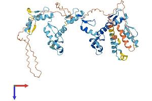 AlphaFold protein structure predicition of Human Recombinant ZNF468 Protein, UniprotID Q5VIY5