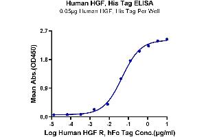 Immobilized Human HGF, His Tag at 0.