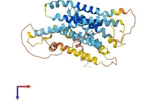 Vomeronasal 1 Receptor 2 (VN1R2) (AA 1-395) protein (His tag)