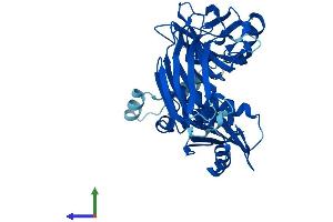 Protein Structure (PS) image for Adaptor-Related Protein Complex 3, mu 2 Subunit (AP3M2) (AA 1-418) protein (His tag) (ABIN7552128)