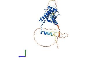 Protein Structure (PS) image for AKT Interacting Protein (AKTIP) (AA 1-292) protein (His tag) (ABIN7552110)