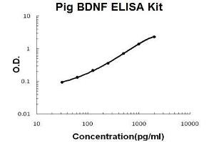 Pig BDNF PicoKine ELISA Kit standard curve