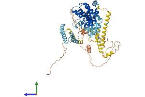 AlphaFold protein structure predicition of Mouse Recombinant Nek11 Protein, UniprotID Q8C0Q4