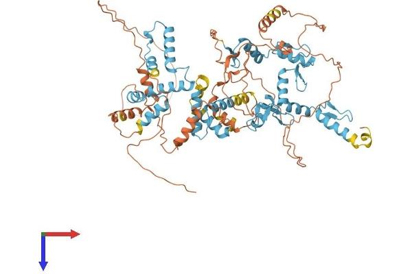 Zinc Finger and SCAN Domain Containing 32 (ZSCAN32) (AA 1-697) protein (His tag)