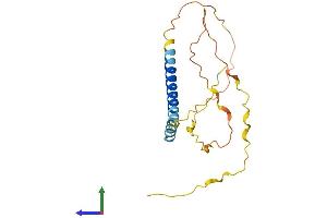 AlphaFold protein structure predicition of Mouse Recombinant Bbc3 Protein, UniprotID Q99ML1 (PUMA Protein (AA 1-193) (His tag))