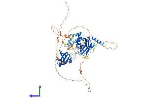 Protein Structure (PS) image for Grainyhead-Like 2 (GRHL2) (AA 1-625) protein (His tag) (ABIN7554057)