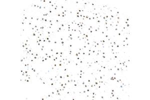 Immunocytochemistry (ICC) image for anti-Zinc Finger E-Box Binding Homeobox 1 (ZEB1) (AA 750-800) antibody (ABIN7455173) (Recombinant ZEB1 抗体  (AA 750-800))