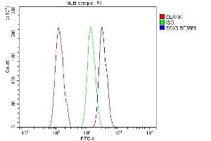 Flow Cytometry analysis of A431 cells using anti-SOX3 antibody (ABIN7600935). (SOX3 抗体  (AA 256-283))