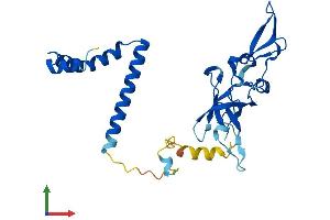 AlphaFold protein structure predicition of Mouse Recombinant Nsa2 Protein, UniprotID Q9CR47