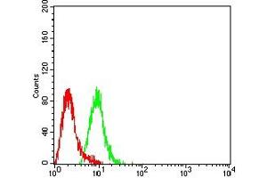 Flow cytometric analysis of Hela cells using EZH1 mouse mAb (green) and negative control (red). (EZH1 抗体  (AA 135-294))