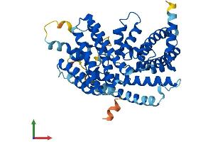 AlphaFold protein structure predicition of Human Recombinant MBOAT4 Protein, UniprotID Q96T53