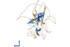 Protein Structure (PS) image for Myosin VIIA and Rab Interacting Protein (MYRIP) (AA 1-856) protein (His tag) (ABIN7564653)