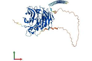 Protein Structure (PS) image for Coronin, Actin Binding Protein, 2A (CORO2A) (AA 1-525) protein (His tag) (ABIN7546630)