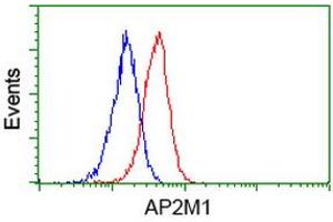 Flow cytometric Analysis of Jurkat cells, using anti-AP2M1 antibody (ABIN2454661), (Red), compared to a nonspecific negative control antibody, (Blue). (AP2M1 抗体  (AA 97-383))