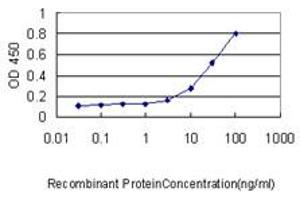 Detection limit for recombinant GST tagged SIRT2 is approximately 0. (SIRT2 抗体  (AA 128-227))