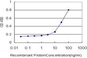 Detection limit for recombinant GST tagged TAZ is approximately 10ng/ml as a capture antibody. (TAZ 抗体  (AA 1-262))
