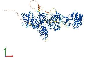 AlphaFold protein structure predicition of Human Recombinant JAK1 Protein, UniprotID P23458