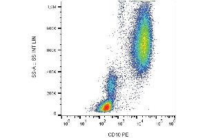Surface staining of human peripheral blood cells with anti-CD10 (LT10) PE. (MME 抗体  (PE))