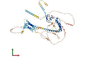 Protein Structure (PS) image for Transmembrane Protein 201 (TMEM201) (AA 1-666) protein (His tag) (ABIN7544385)