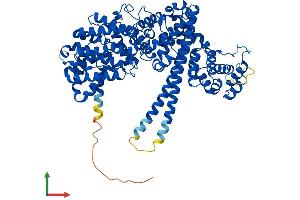 Protein Structure (PS) image for Nuclear Cap Binding Protein Subunit 1, 80kDa (NCBP1) (AA 1-790) protein (His tag) (ABIN7554699)